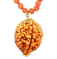 do-mukhi